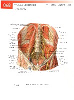 Sobotta  Atlas of Human Anatomy  Trunk, Viscera,Lower Limb Volume2 2006, page 75